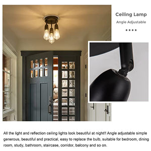 2 Light hall lights ceiling mount Metal overhead light fixture Black ceiling texture brush