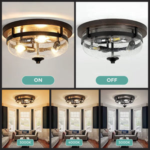 3-Light seeded glass flush mount ceiling light Metal hallway lights Seeded Glass ceiling mount light