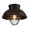Farmhoue flush mount ceiling light fixture cage ceiling lampo with glass shade
