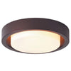 16 inch ceiling light bronze kitchen light metal, glass bedroom light