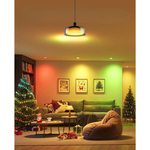 RGBIC light bulb metal glass hanging light black pendant light