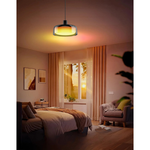 Modern light bulb black light fixture plastic pendant light