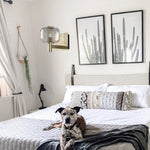 5 inch light fixtures Clear wall light Metal wall mounted light