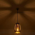Pendant Light Cage Ceiling Lamp in Black and Gold