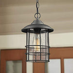 1 Light Exterior Hanging Lantern in Black Finish with Seeded Glass
