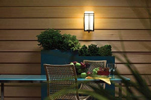 Industrial outdoor wall light with satin etched cased opal glass shade Black wall lamp