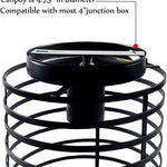 Small cage ceiling light fixture rust black industrial ceiling lamp