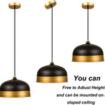 Matte black and gold dome pendant light  slop ceiling hanging lamp