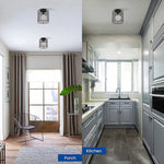 Small cage ceiling light fixture rust black industrial ceiling lamp