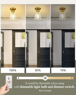 Mini Semi Flush Mount Ceiling Light gold ceiling light fixture with glass shade