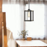 Vintage glass pendant lamp industrial cage hanging pendant lighting