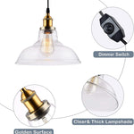 Vintage industrial dimmer switch plug in edison clear glass pendant light