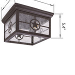2 light ceiling mount lighting farmhouse glass ceiling lamp