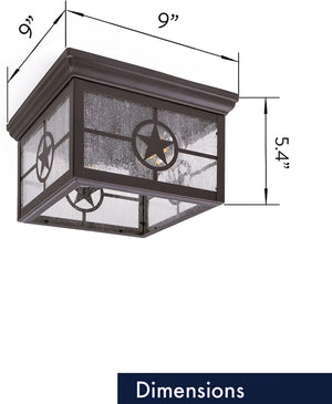 2 light ceiling mount lighting farmhouse glass ceiling lamp