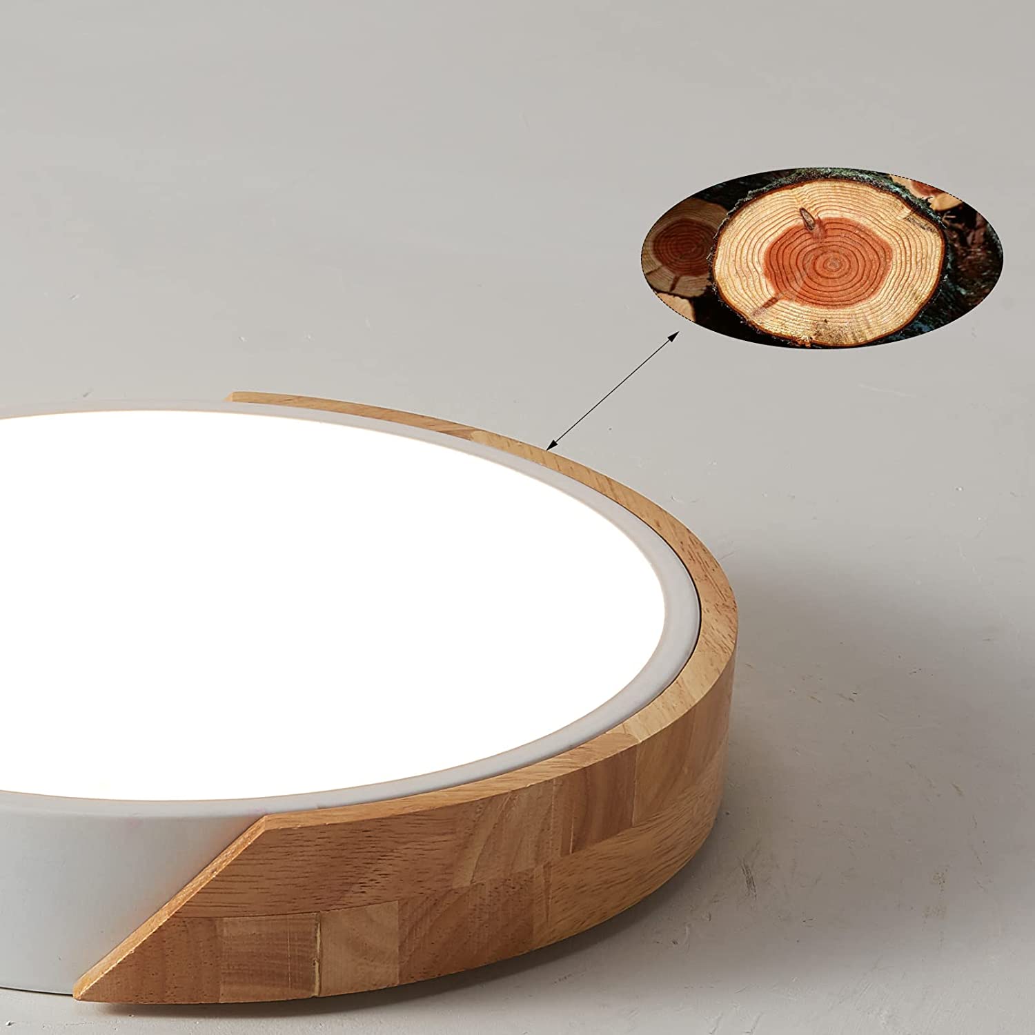 LED Ceiling Lights  12 Inch Black Modern Flush Mount Lighting Fixture Round ceiling lamp