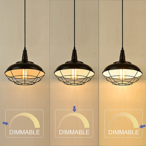 Black plug in pendant light fixture Industrial cage hanging lamp