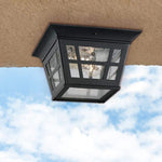 Cast Aluminum Outdoor Ceiling Lighting fixture with glass shade black ceiling lamp
