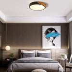LED Ceiling Lights  12 Inch Black Modern Flush Mount Lighting Fixture Round ceiling lamp