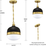 Modern globe chandelier glass ceiling hanging pendant light
