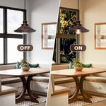 Farmhouse pendant light industrial hanging lamp fixture