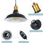Vintage industrial dimmer switch plug in edison black pendant light