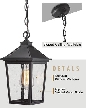 Farmhouse exterior hanging porch light black chandelier with seeded glass shade