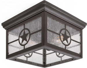 2 light ceiling mount lighting farmhouse glass ceiling lamp