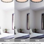 14 inch LED Flush Mount Ceiling Light round light ceilihg fixture with bronze finish