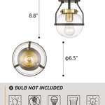 Industrial Semi Flush Mount Ceiling Light  globe glass Close to Ceiling Lighting Fixture