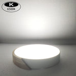 LED Ceiling Lights  12 Inch Black Modern Flush Mount Lighting Fixture Round ceiling lamp