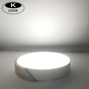 LED Ceiling Lights  12 Inch Black Modern Flush Mount Lighting Fixture Round ceiling lamp