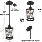 Black industrial light foyer modern wire cage pendant light fixture