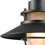 Black outdoor barn light exterior light fixture with frosted glass shade