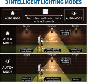 Motion detection LED wall light black cage garage wall lantern light fixture