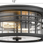 2-Light Farmhouse Semi Ceiling Light Fixture black industrial ceiling lamp