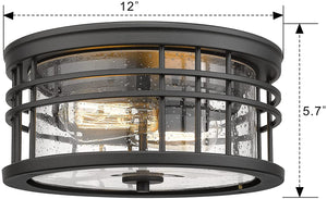 2-Light Farmhouse Semi Ceiling Light Fixture black industrial ceiling lamp