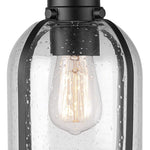 Contemporary Black Outdoor Pendant Light with Clear Seeded Glass Shade