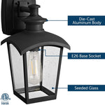 1 light lantern black wall sconce with seeded glass shade