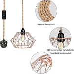 Industrial rose lamp plug in  light hanging kit