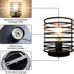 Small cage ceiling light fixture rust black industrial ceiling lamp