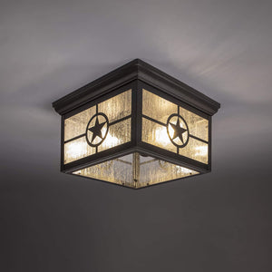 2 light ceiling mount lighting farmhouse glass ceiling lamp