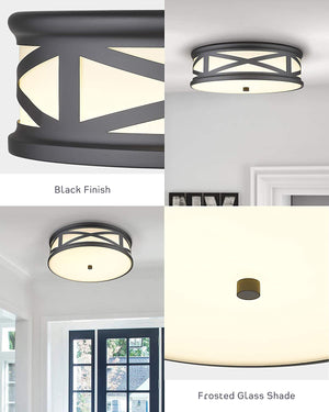 12 Inch LED Flush Mount Ceiling Light black round ceiling light fixture
