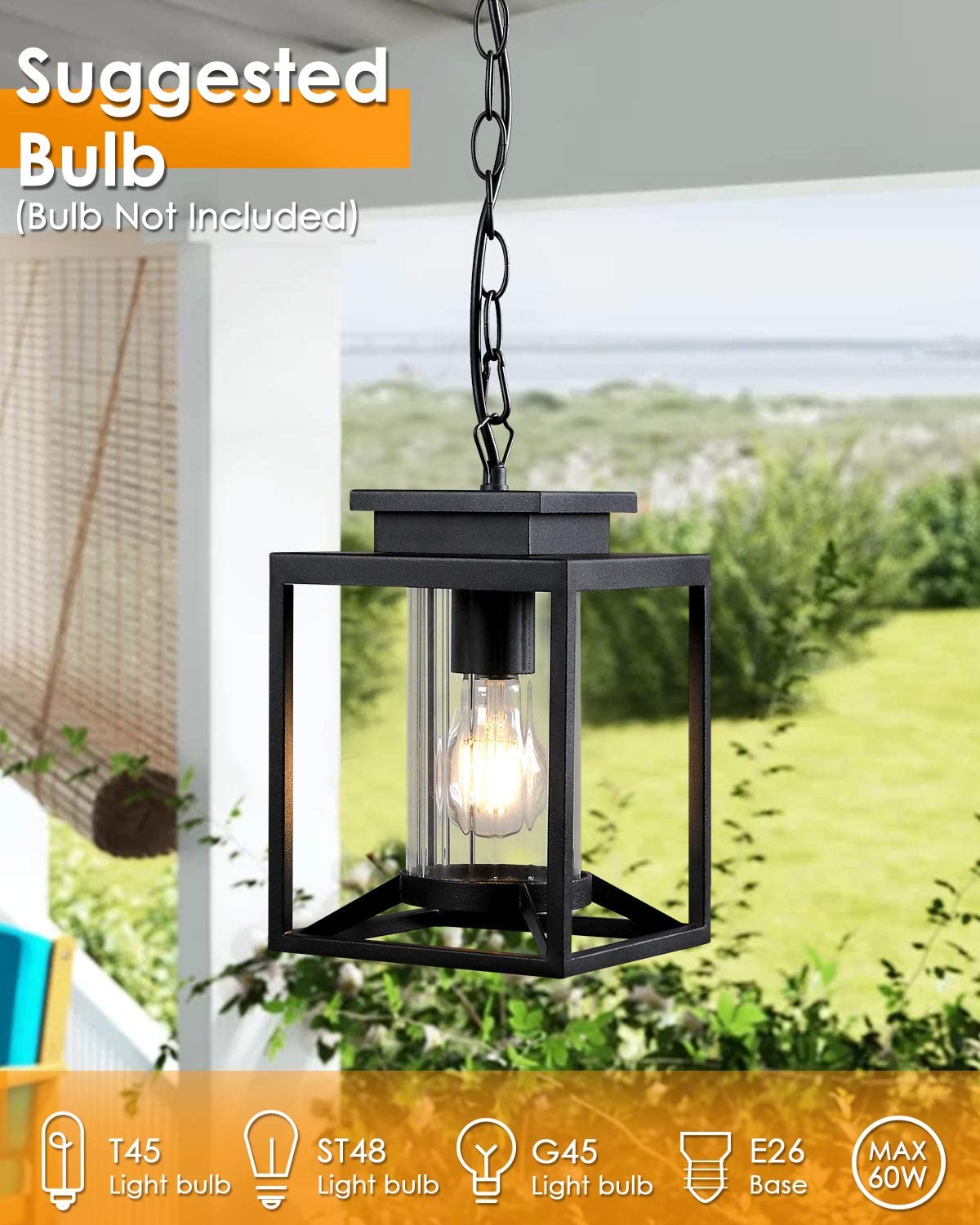 Industrial outdoor pendant light glass adjustable hanging lamp with black finish