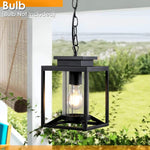 Industrial outdoor pendant light glass adjustable hanging lamp with black finish