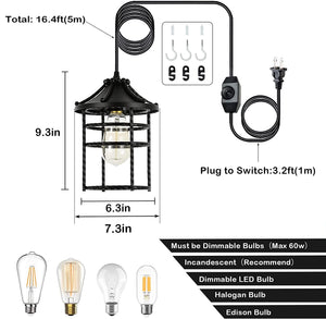 Plug in cottage black pendant light