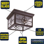 2 light ceiling mount lighting farmhouse glass ceiling lamp