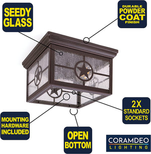 2 light ceiling mount lighting farmhouse glass ceiling lamp