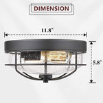 Industrial light fixtures ceiling 2 light glass flush mount