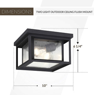 2 light ceiling flush mount industrual black ceiling light fixture