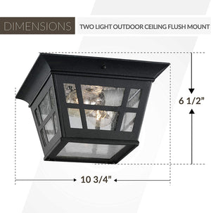 Cast Aluminum Outdoor Ceiling Lighting fixture with glass shade black ceiling lamp